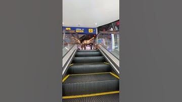 Why Escalators Have Grooves? (Explained)