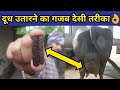 गाय/भैंस का दूध उतारने वाला देसी ईलाज |Doodh bdhane ka tarika|How to increase cow/buffalo milk.