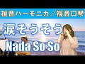P295. 『涙そうそう』 ”Nada So So”　複音ハーモニカ by 柳川優子 Yuko Yanagawa Tremolo Harmonica 1,000　複音口琴