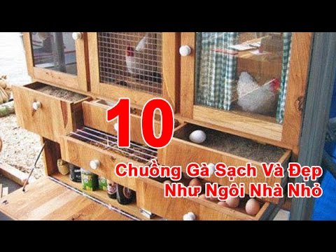 10 Chuồng Gà Sạch Và Đẹp Như Ngôi Nhà Nhỏ ở Đô Thị | Foci