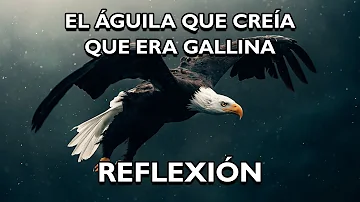 REFLEXIÓN.- EL ÁGUILA QUE CREÍA SER UNA GALLINA. Reflexiones Diarias, Pensamientos del Alma, De Dios