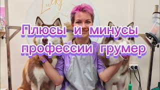 Плюсы и минусы профессии грумер🐶🐱