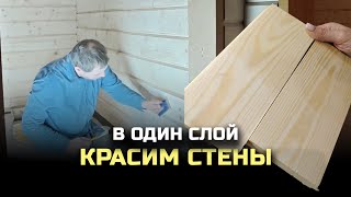 видео: Покраска стен в один слой! Миф или реальность? Лень или экономия времени? Дилетанты свернули не туда картинка: Покраска стен в один слой! Миф или реальность? Лень или экономия времени? Дилетанты свернули не туда