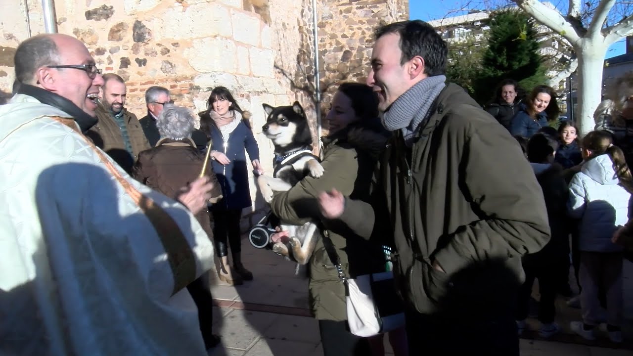 Los animales de compañía de Argamasilla de Calatrava ya están bendecidos por San Antón