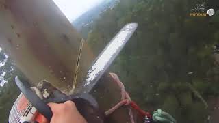 Amazing 200 Feet Mountain Ash Removal ! Dangerous Tree Felling Climbing With Chainsaw Machine