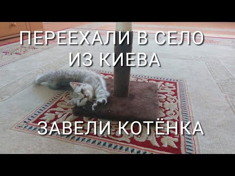 Видео: Жизнь в селе под Киевом. Ищем супермаркет. Нашли озеро рядом. Обрезаем когти котенку