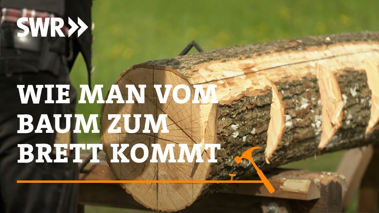 SAG MIR, woher mein TRADITIONELLER TANZ stammt! #2