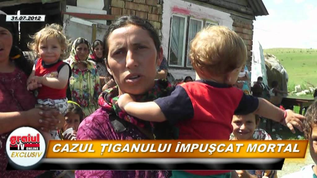 CAZUL TIGANULUI IMPUSCAT MORTAL