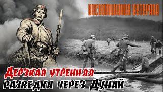 А еще нас РАЗГИЛЬДЯЯМИ называли… По воспоминаниям Мошляка И. Н. Часть 5