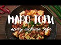 BEST Mapo Tofu Recipe - SPICY! (麻婆豆腐)