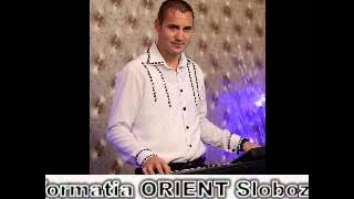 Liviu de la Orboiesti- Hora de nunta pentru NASU Mare