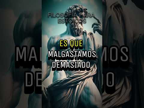 La MEJOR Reflexión