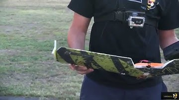 Angry Bee Santi mod HD