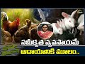 Gud innovation fis.airy rabbit farming by farmer satya kasani  rythu bandu