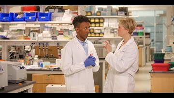 Discover the Driskill Graduate Program at Northwestern University