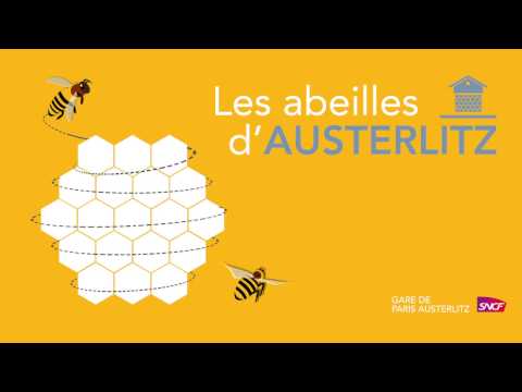 Le miel des abeilles de la gare d'Austerlitz, édition 2016 !