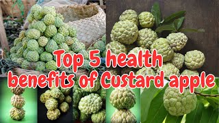 Top 5 health benefits of Custard apple