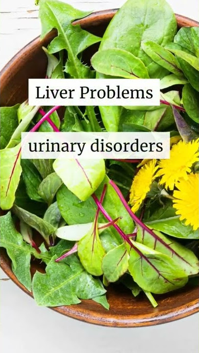 The many health benefits of Dandelions#dandelion #herbs #wellness