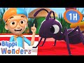 Blippi Leanrs About Ants 🐜 | Blippi Wonders | Preschool Learning | Moonbug Tiny TV