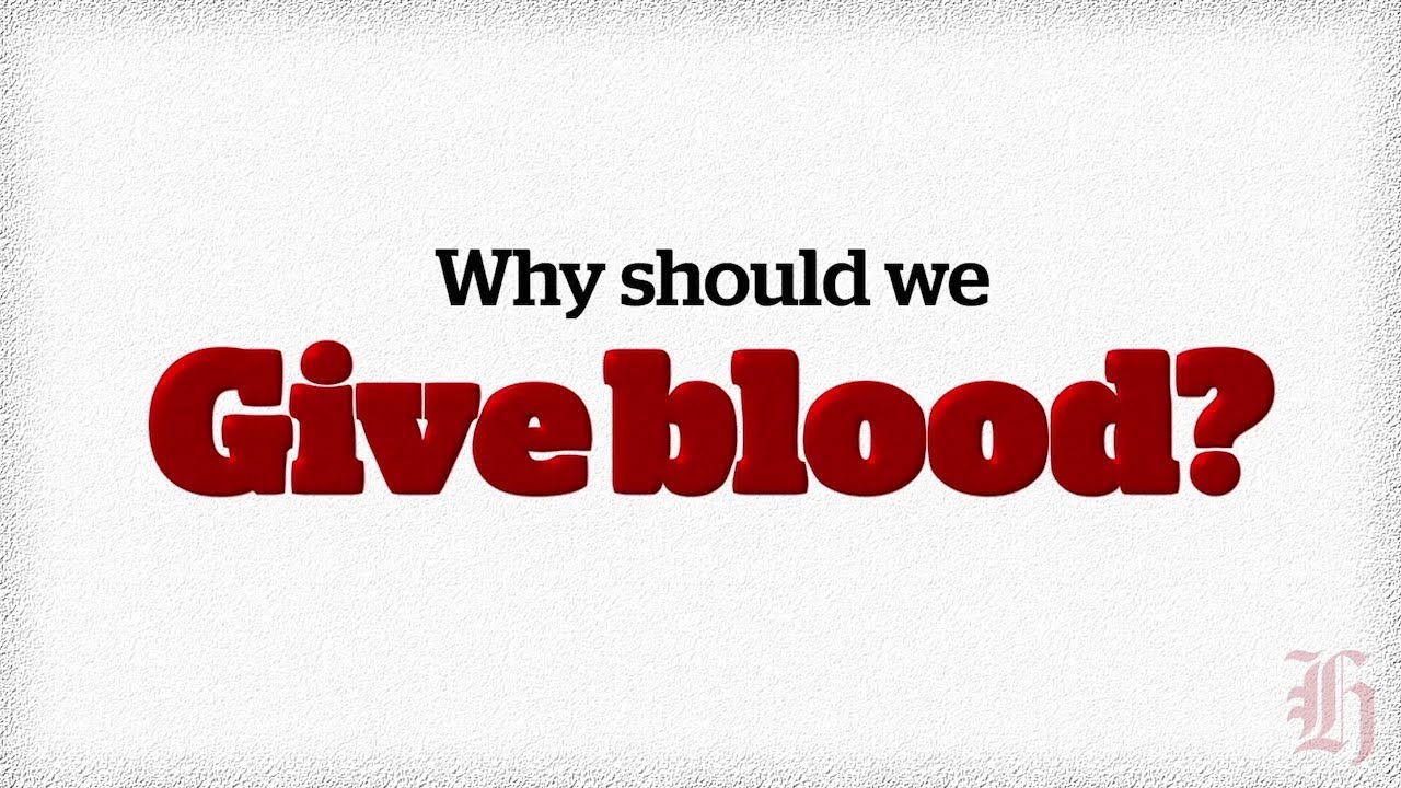 How Often Can You Give Blood Nz How Often Can You Give Blood Nz