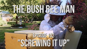 Adjusting Flowhive Frames - The Bush Bee Man