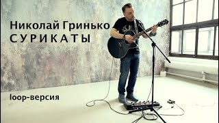 Николай Гринько - Сурикаты (loop-версия)