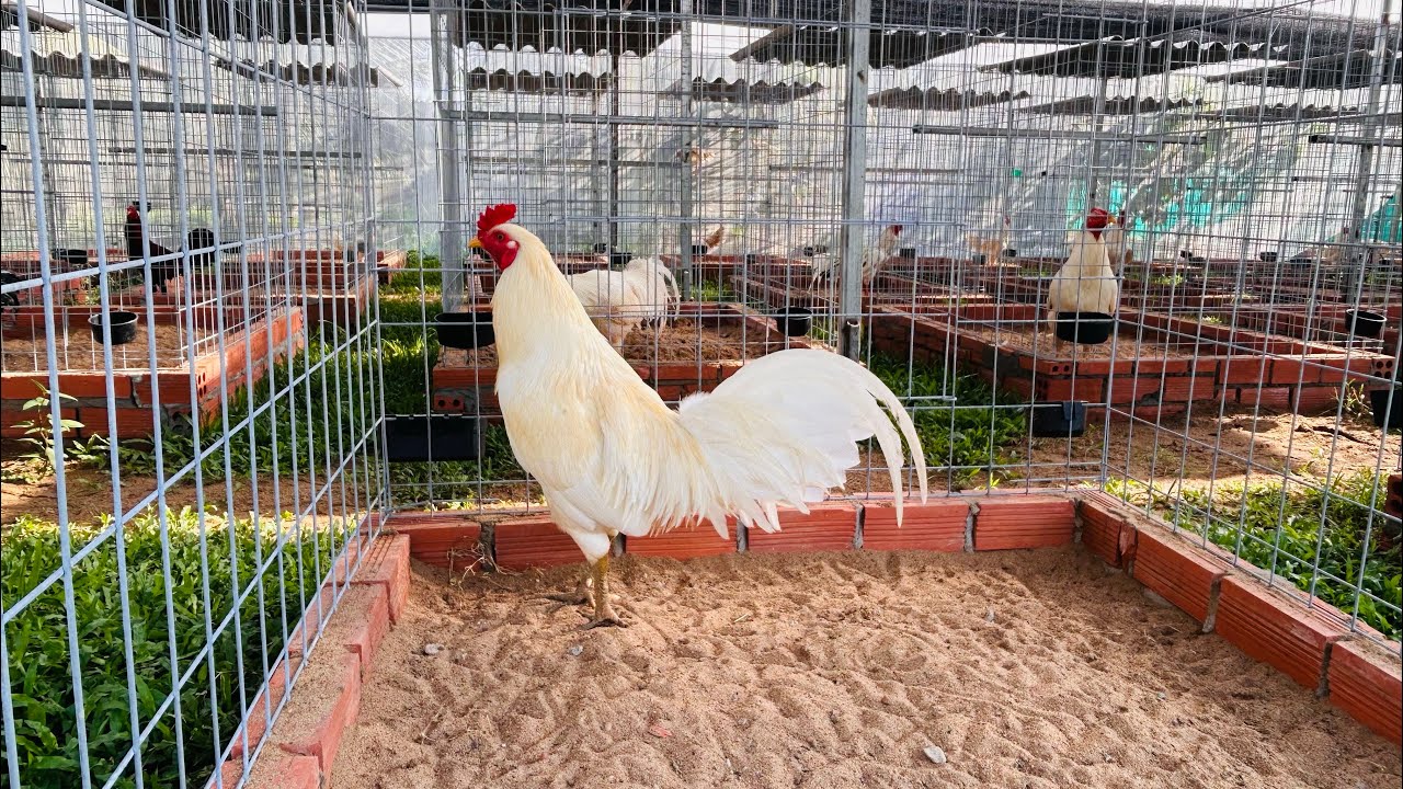 30/1 Tri Ân Ae. 0961.496.696