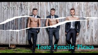 Sunrise Inc - Toate Femeile Pleaca