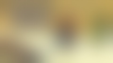 Zerando Chuck Norris:Bring On The Pain (EMULADOR DE JAVA PARA ANDROID)