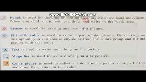 class 4 Computer MS paint Draw and color