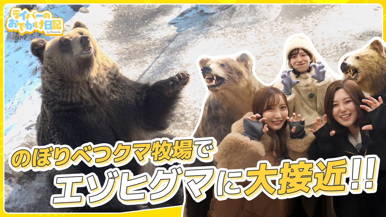【年末年始】北海道スペシャル✨エゾヒグマに大接近！かわいかった、、、🐻【のぼりべつクマ牧場】