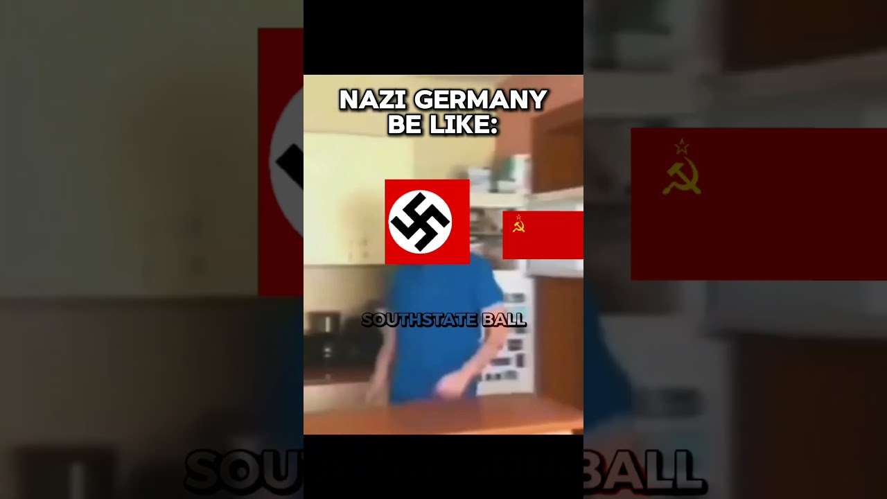 Nazi Germany Be Like 🇩🇪👨🏻‍🎨| WW2 Meme 