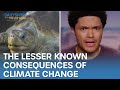 The Consequences Of Climate Change You May Not Know About | The Daily Show