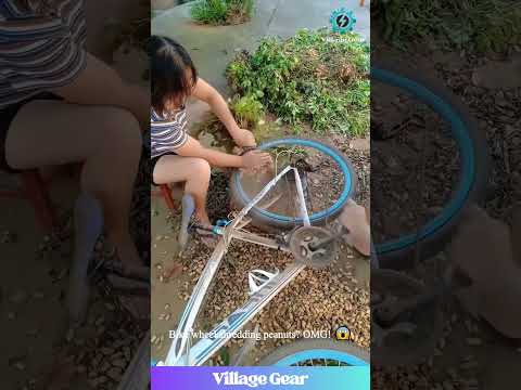 BIKE vs. Machine: