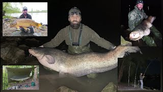 2 nights 4 catfish 1 carp *new pb* 1,80m 5.9ft Waller Wels