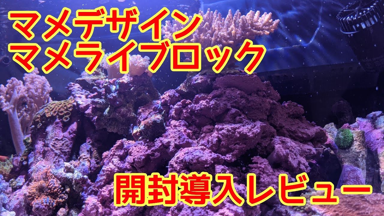 マメライブロック開封レビュー！ - YouTube