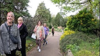 London Nature Walk in Croydon's Lovely Coombe Wood - ASMR [4K]