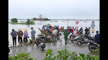 LŨ TRÊN SÔNG THÁI BÌNH BÁO ĐỘNG II NGƯỜI DÂN ĐỔ XÔ ĐI BẮT CÁ SỔNG LỒNG VEN SÔNG THÁI BÌNH
