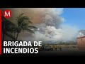 Se registran 5 incendios forestales activos en Manzanillo, Colima