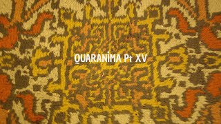 Quaranima Pt XV