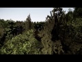 Beginning of video