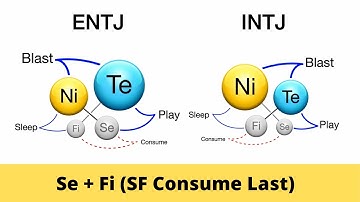 INTJ and ENTJ - How to Use SF (Se+Fi) Consume Last