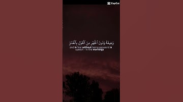 سوره الاعراف الجزء204 #اكسبلور #دويتو #لايك #شير #تلاوة_خاشعه#لايك #حالات_واتس #اكسبلور ❤️‍🩹❤️‍🩹❤️‍🩹