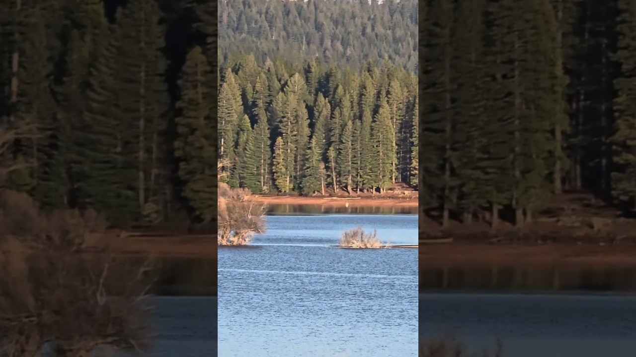Lake Water missing its Mother: Peaceful Snowy Mountains. 