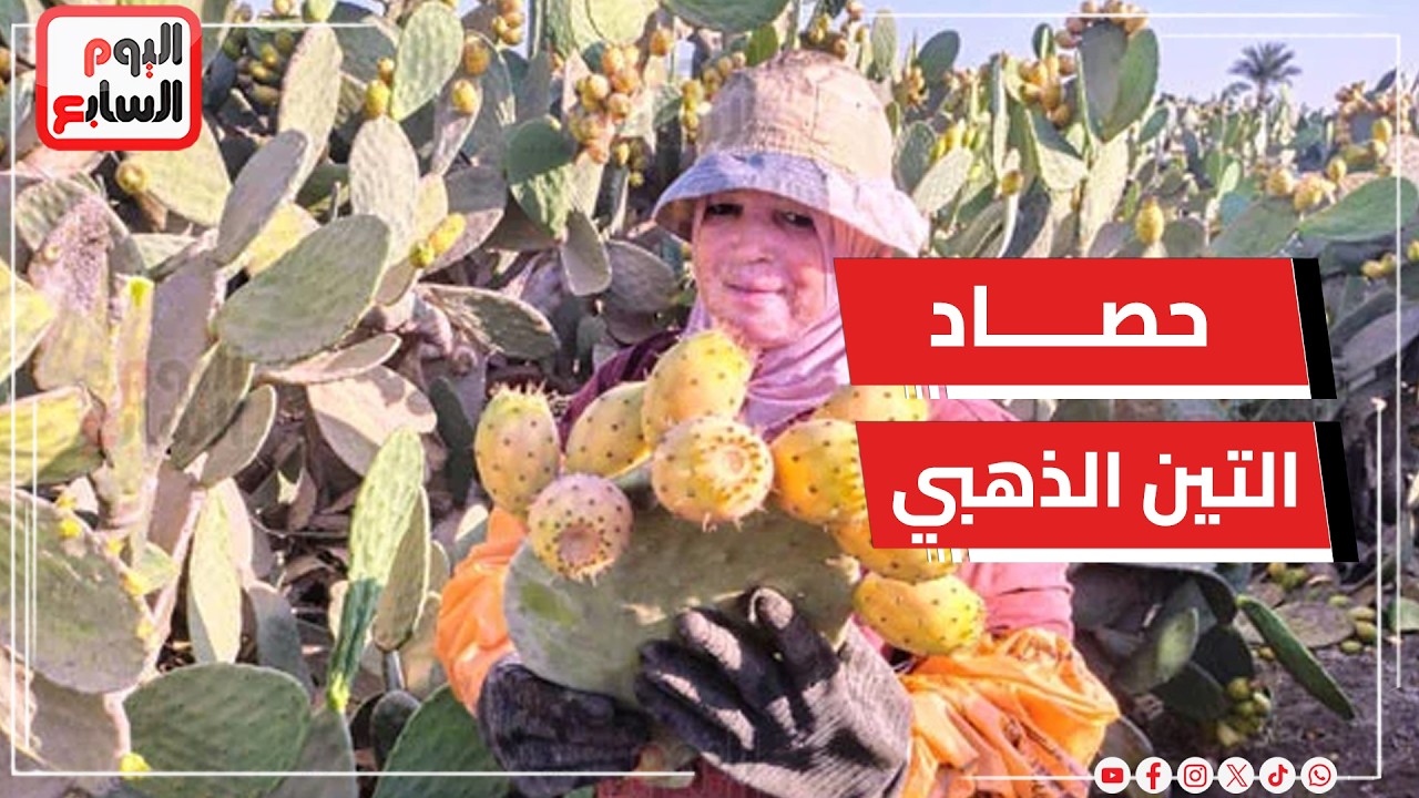 ��� ����� �� ���.. ���� ������ ��������� ����� ������ �������
 - نشر قبل 20 دقيقة