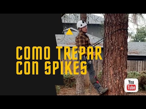 Video: Aprenderemos a trepar a un árbol: instrucciones