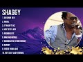 The Best Of Shaggy Full Album 2024 Top Artists To Listen 2024 The Best Of Shaggy Full Album 2024 Top Artists To Listen 2024