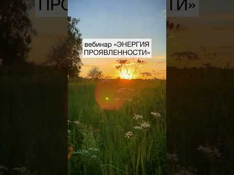 Как проявить себя в любой сфере и добиться успеха? Ответ в комментарии.