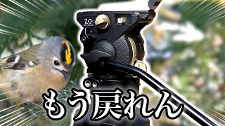 【Libec】最強の三脚と雲台を使ってみたら二度と戻れなくなりました《α6700野鳥撮影キクイタダキ.キバシリetc》