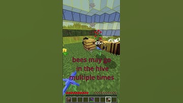 How To Get Honeycomb in Minecraft 1.19 #shorts